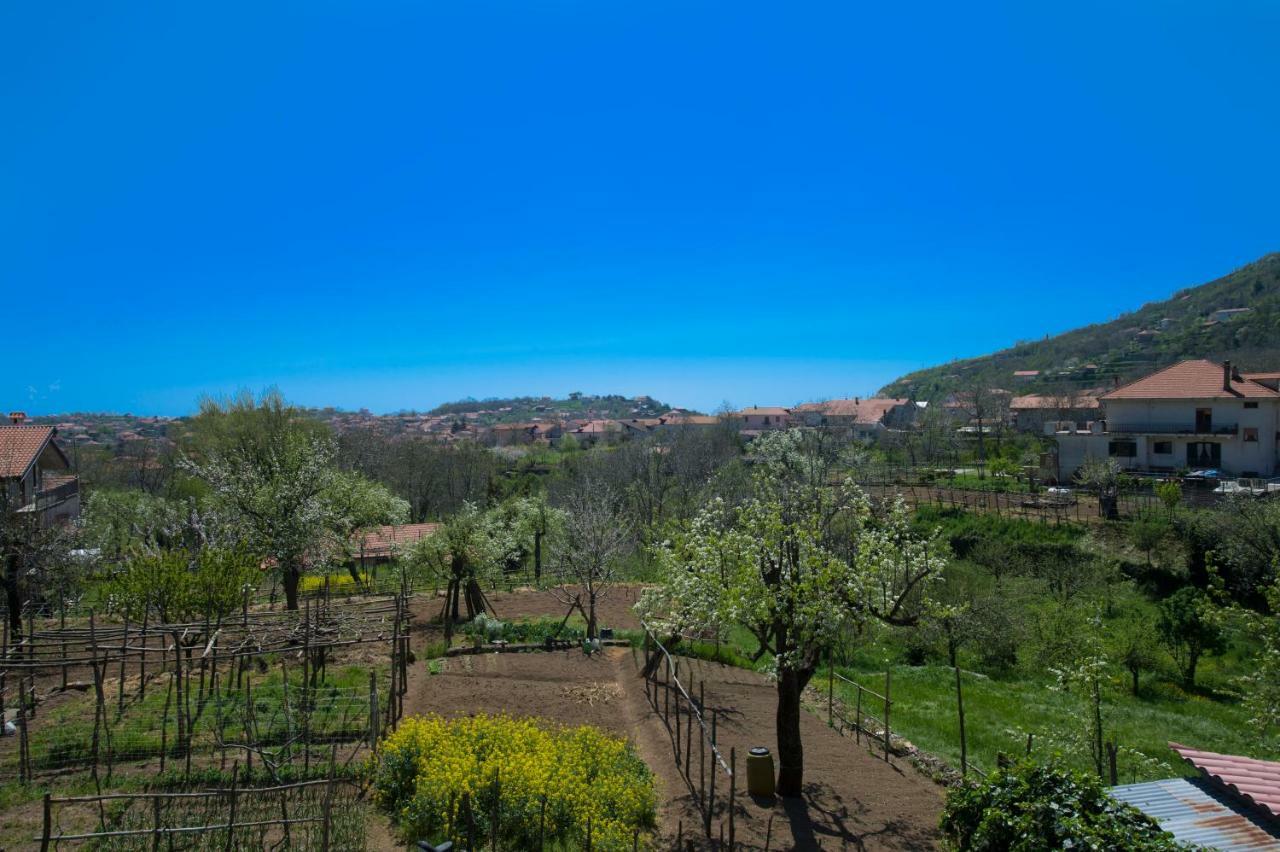 Al Cortile Di Nonno Luigi Vila Agerola Exterior foto